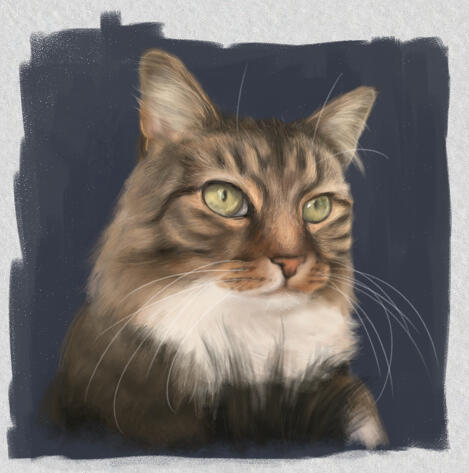 Cat Portrait